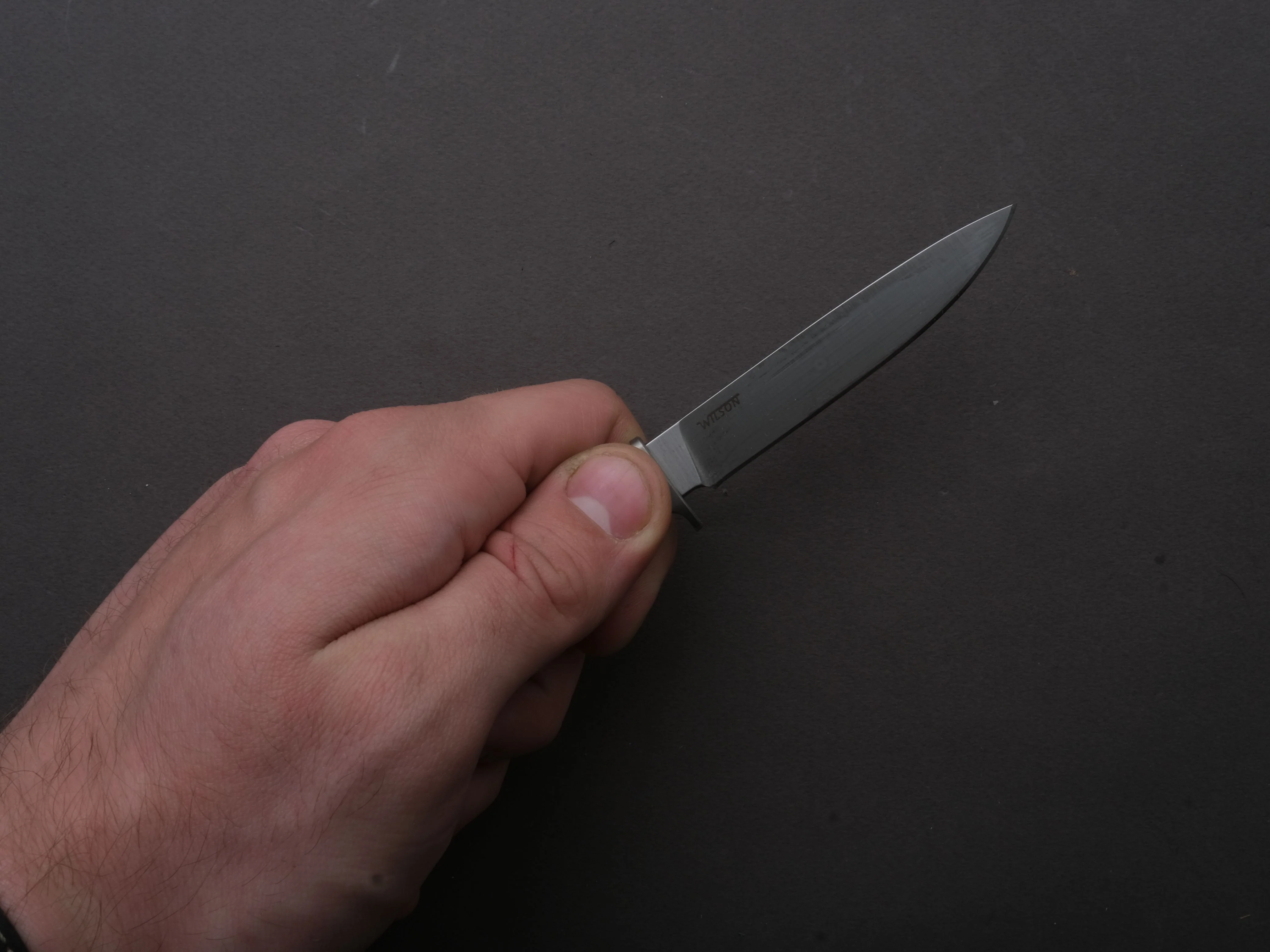 lionSTEEL - Fixed Blade - Ago - M390 - 80mm - Green Canvas Micarta - Leather Sheath - Image 4