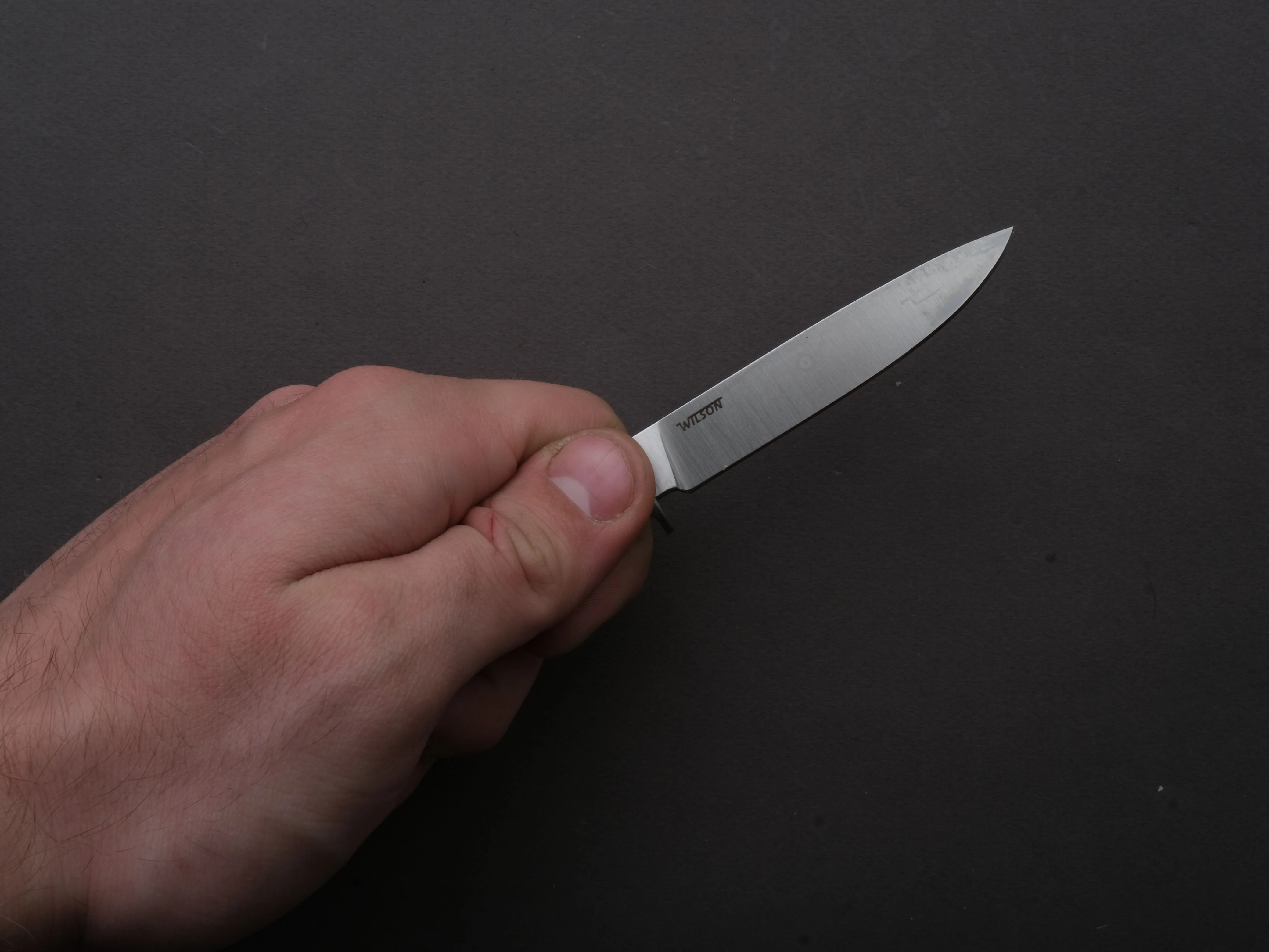 lionSTEEL - Fixed Blade - Ago - M390 - 80mm - Santos Mahogany - Leather Sheath - Image 4